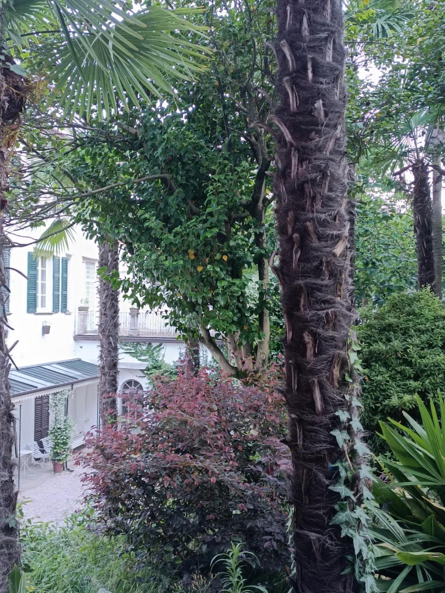 Casa Martelli Appartement Belgirate Buitenkant foto